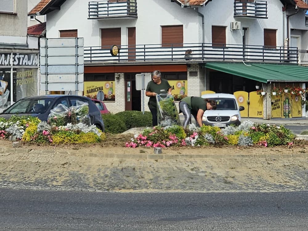 Cvijeće počupano opet kad je najljepše: Građani ljuti, Grad tvrdi nemamo ništa s tim, a Komunalac suprotno [FOTO]