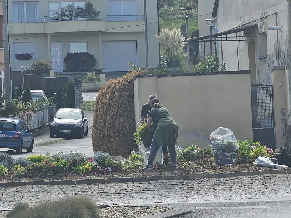 Cvijeće počupano opet kad je najljepše: Građani ljuti, Grad tvrdi nemamo ništa s tim, a Komunalac suprotno [FOTO]