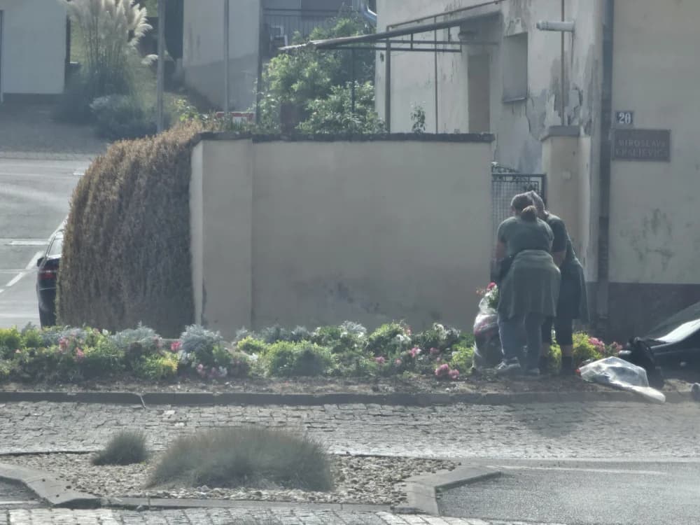 Cvijeće počupano opet kad je najljepše: Građani ljuti, Grad tvrdi nemamo ništa s tim, a Komunalac suprotno [FOTO]
