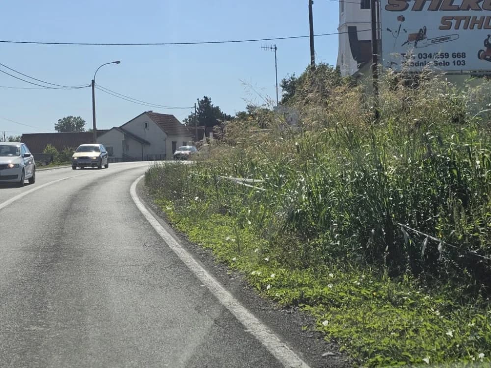 Ovo je naša stvarnost uz državnu cestu: Možda će pokositi kada padne prvi snijeg!