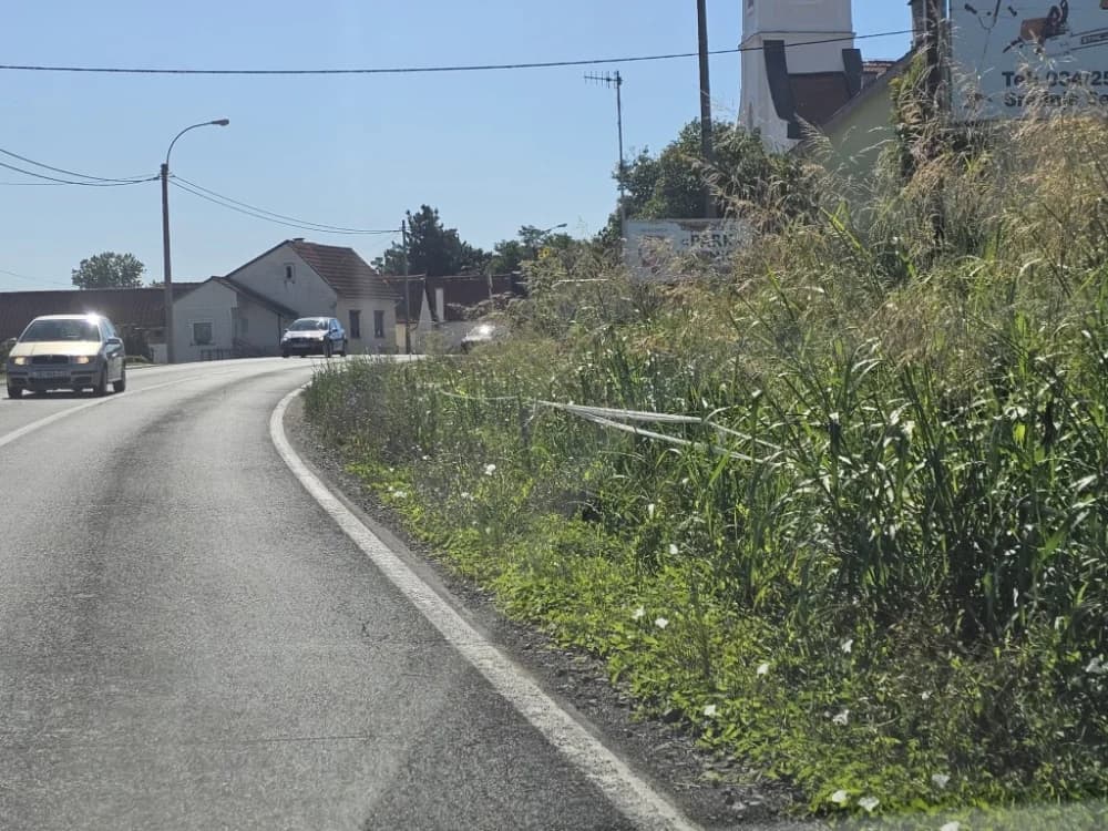 Ovo je naša stvarnost uz državnu cestu: Možda će pokositi kada padne prvi snijeg!