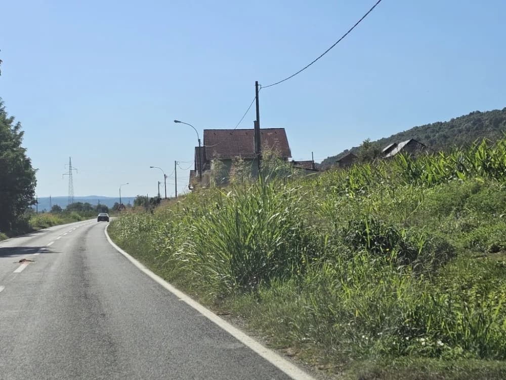 Ovo je naša stvarnost uz državnu cestu: Možda će pokositi kada padne prvi snijeg!