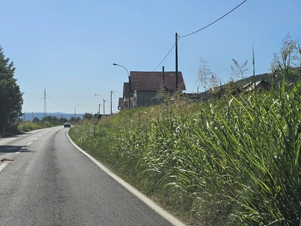 Ovo je naša stvarnost uz državnu cestu: Možda će pokositi kada padne prvi snijeg!