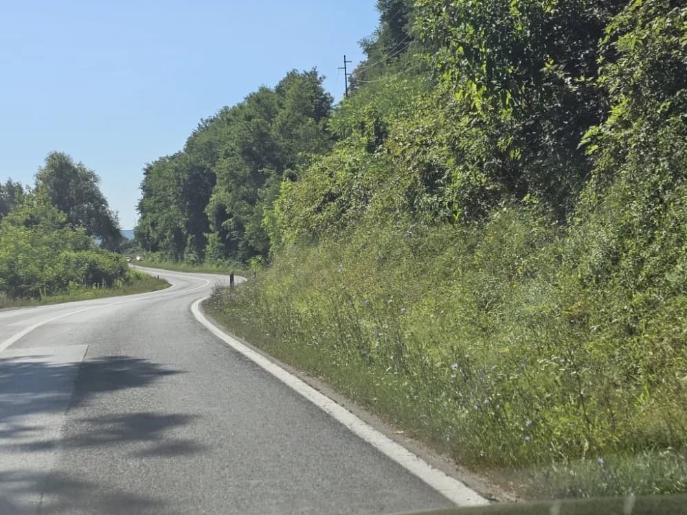 Ovo je naša stvarnost uz državnu cestu: Možda će pokositi kada padne prvi snijeg!