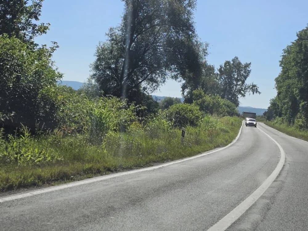 Ovo je naša stvarnost uz državnu cestu: Možda će pokositi kada padne prvi snijeg!