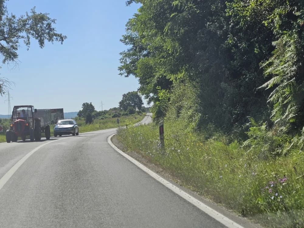Ovo je naša stvarnost uz državnu cestu: Možda će pokositi kada padne prvi snijeg!