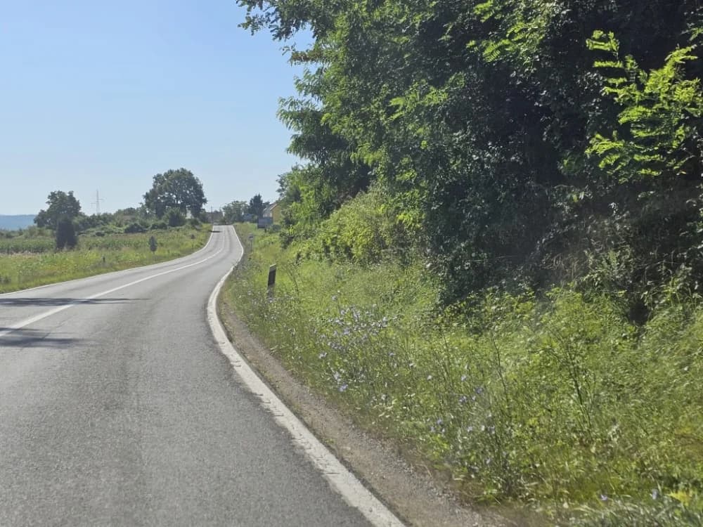 Ovo je naša stvarnost uz državnu cestu: Možda će pokositi kada padne prvi snijeg!