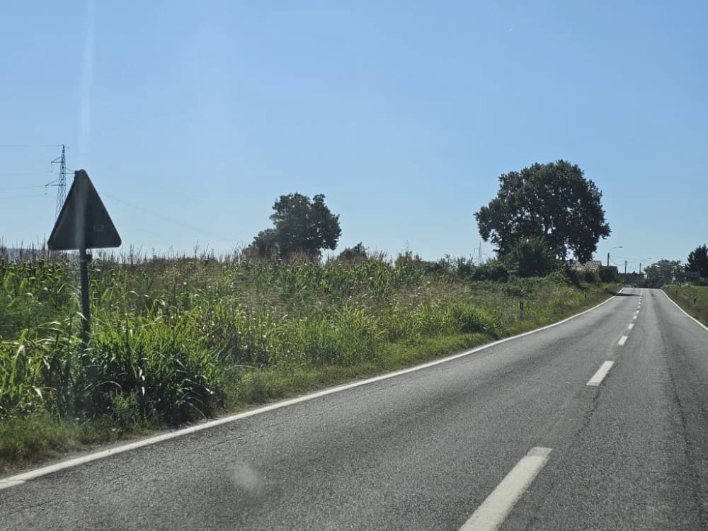 Ovo je naša stvarnost uz državnu cestu: Možda će pokositi kada padne prvi snijeg!