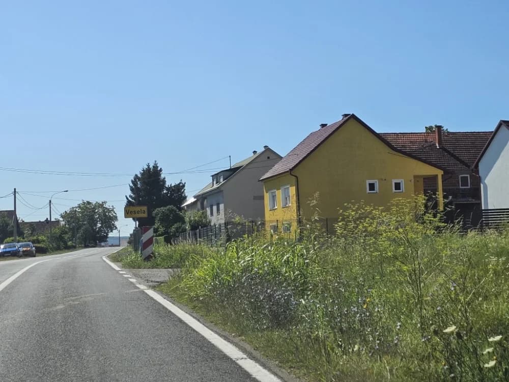 Ovo je naša stvarnost uz državnu cestu: Možda će pokositi kada padne prvi snijeg!
