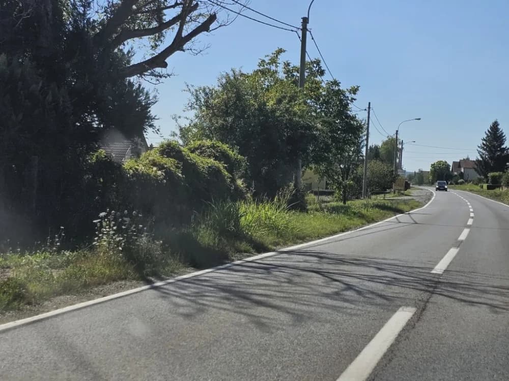 Ovo je naša stvarnost uz državnu cestu: Možda će pokositi kada padne prvi snijeg!