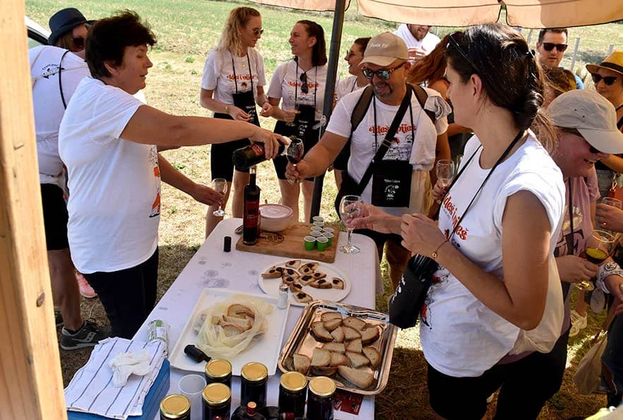 [FOTOGALERIJA] Uz jelo i piće kaptolačkim vinogradima prošlo više od četiri stotine sudionika