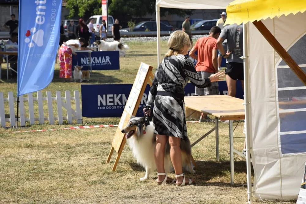 Održana nacionalna izložba pasa CAC- HR POŽEGA
