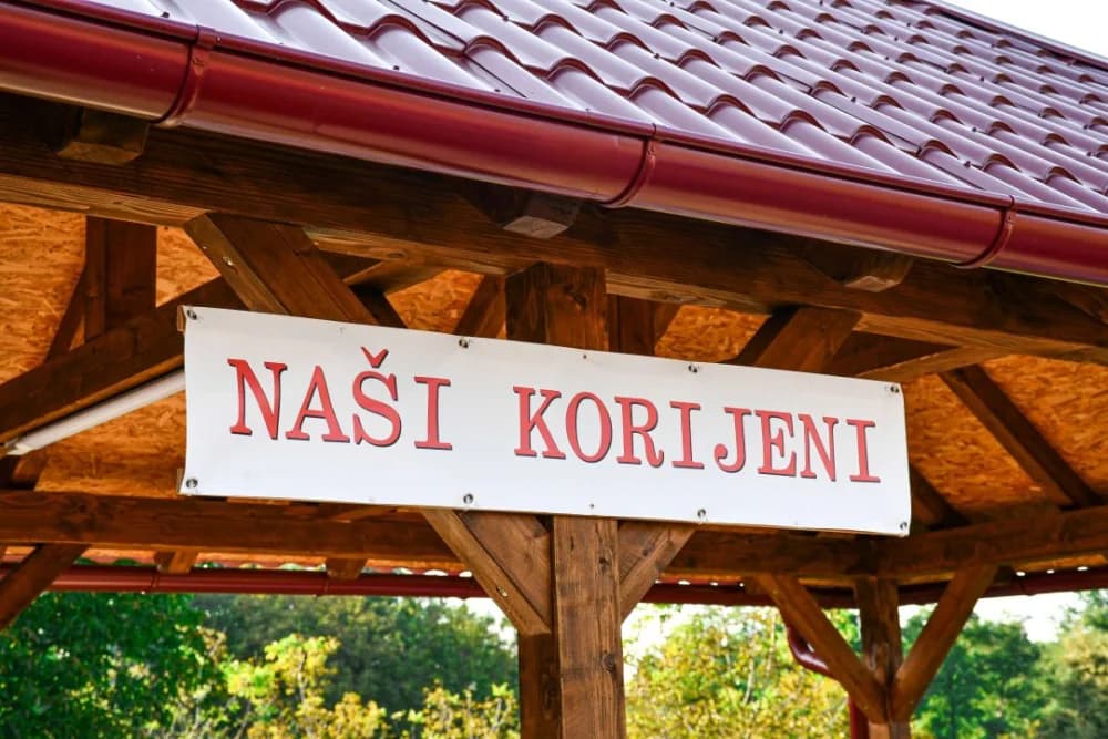 Naši korijeni: Očuvanje tradicije kroz pjesmu i ples u Bjeliševcu