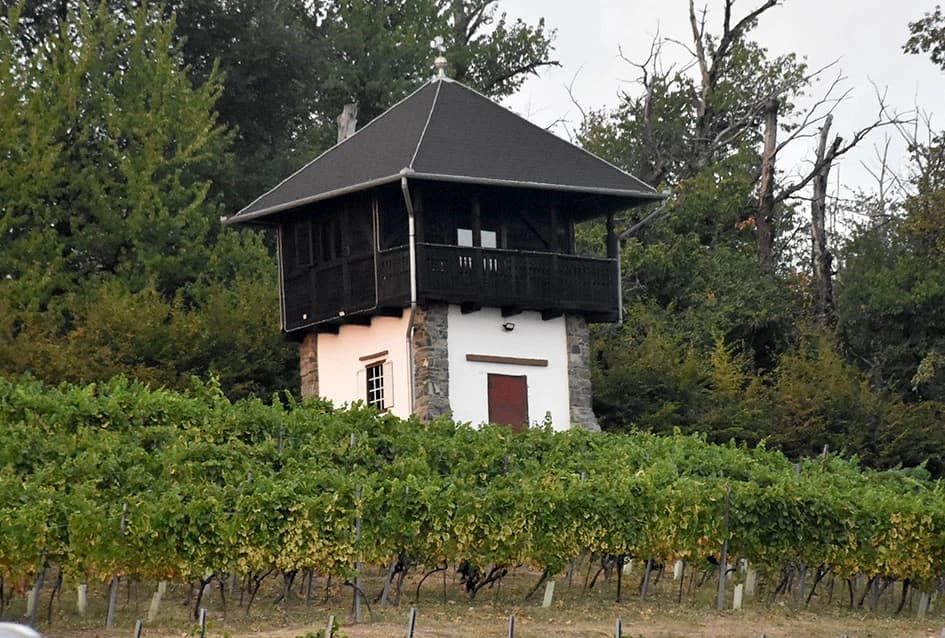 Napunjene butelje festivalskog vina - fešta može započeti...
