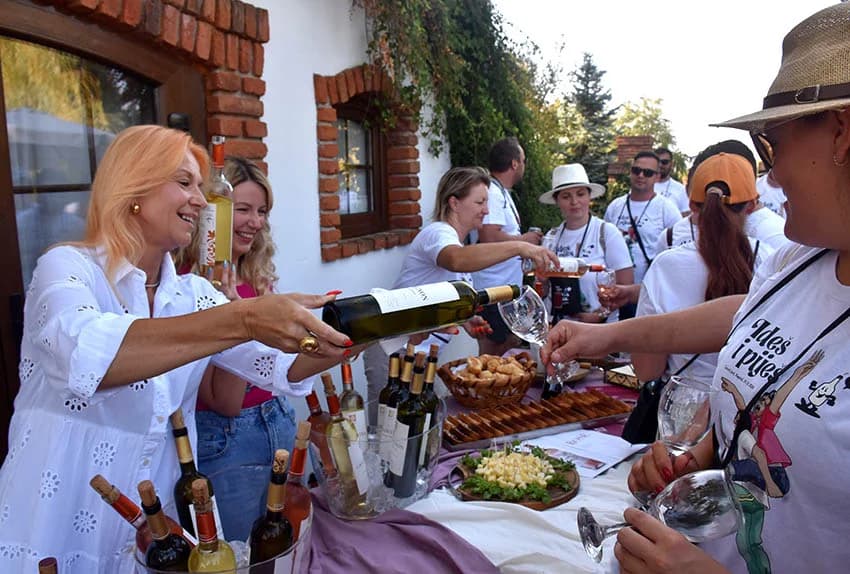 “IDEŠ I PIJEŠ” : Kaptolačkim vinogorjem prošlo više od 450 sudionika