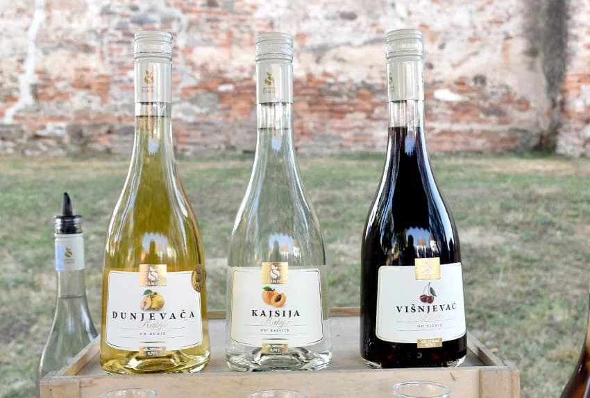 “IDEŠ I PIJEŠ” : Kaptolačkim vinogorjem prošlo više od 450 sudionika