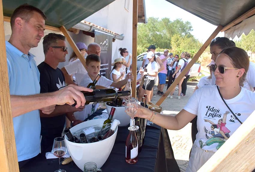 “IDEŠ I PIJEŠ” : Kaptolačkim vinogorjem prošlo više od 450 sudionika