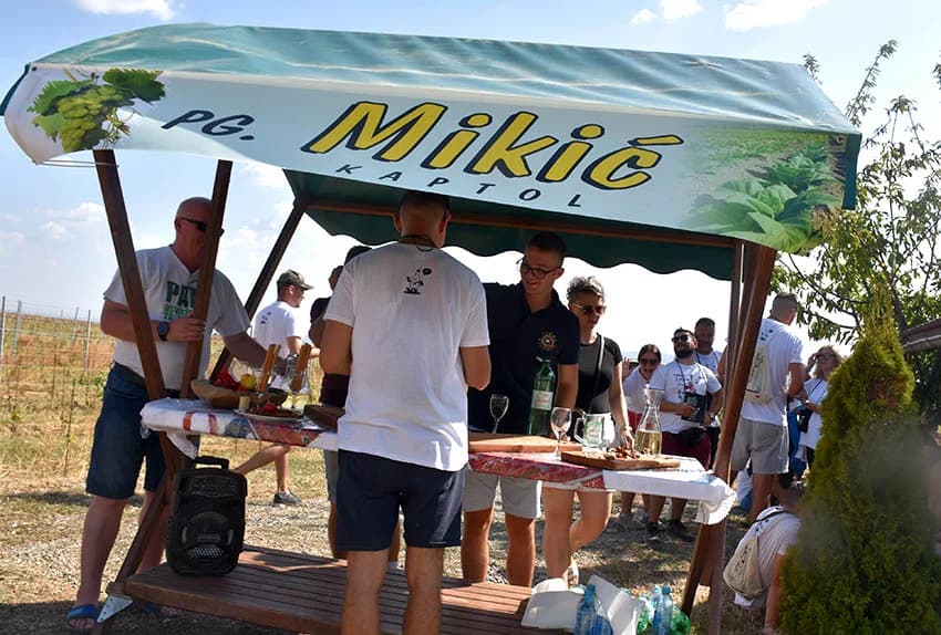 “IDEŠ I PIJEŠ” : Kaptolačkim vinogorjem prošlo više od 450 sudionika