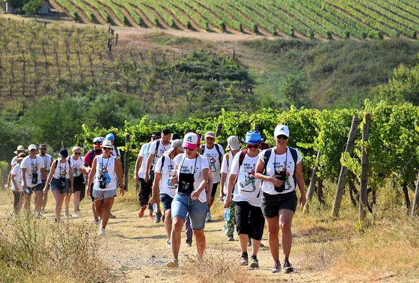 “IDEŠ I PIJEŠ” : Kaptolačkim vinogorjem prošlo više od 450 sudionika