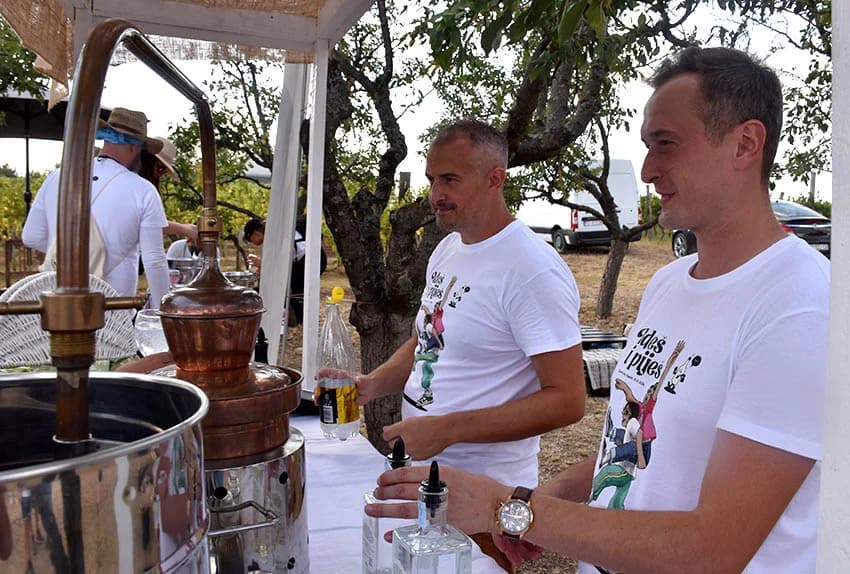“IDEŠ I PIJEŠ” : Kaptolačkim vinogorjem prošlo više od 450 sudionika