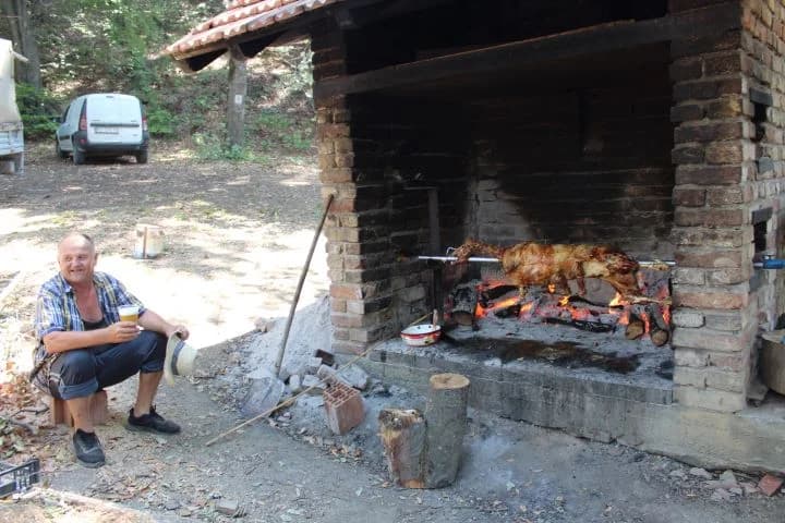 UTRKA U PRIRODI: Trail „Sovsko jezero 2024“ okupio 163 trkača po vrućem vremenu