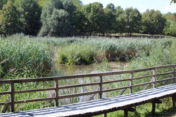 UTRKA U PRIRODI: Trail „Sovsko jezero 2024“ okupio 163 trkača po vrućem vremenu