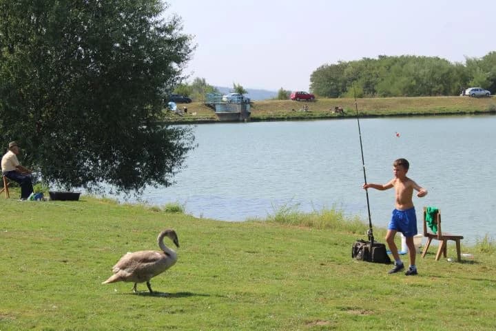 Na četvrtoj „Cverglijadi“ sudjelovalo 36 natjecatelja i ulovljeno 53, 57 kg cvergla