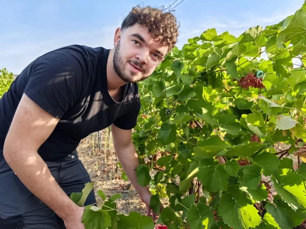 Student iz Francuske započeo svoje Erasmus iskustvo na požeškom Fakultetu turizma i ruralnog razvoja: Od Studentskog doma do vinograda Vinum Academicum