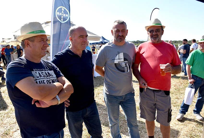 Hibridi koji daju rekordne prinose /FOTO/