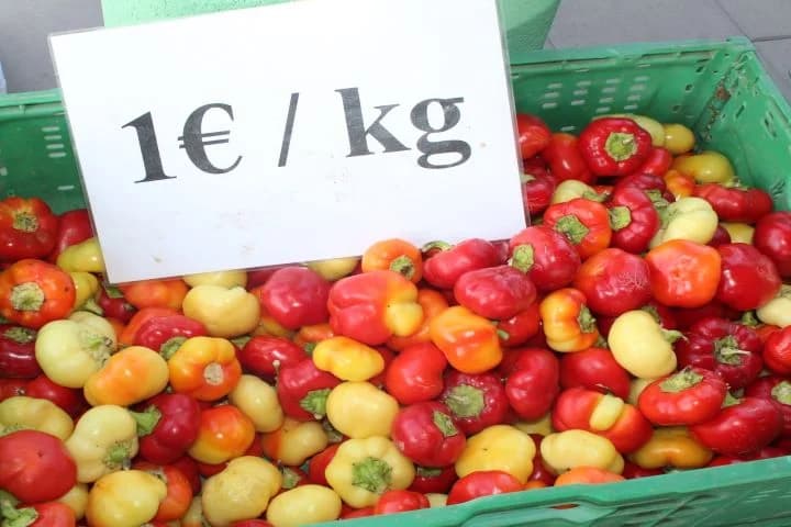 Najbolji ajvar pripremile Natalija Kristek iz Tekića i Marica Uhrin iz Pleternice