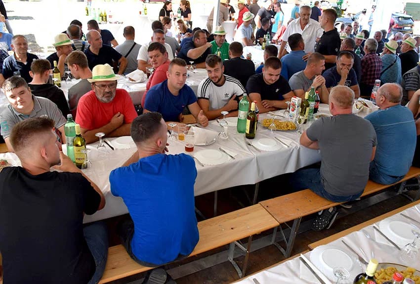 Hibridi koji daju rekordne prinose /FOTO/