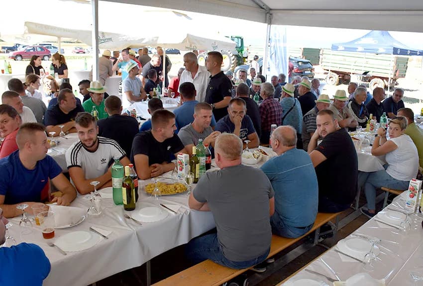 Hibridi koji daju rekordne prinose /FOTO/