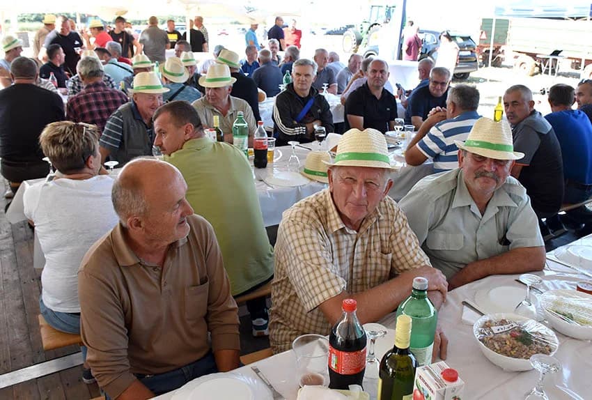 Hibridi koji daju rekordne prinose /FOTO/