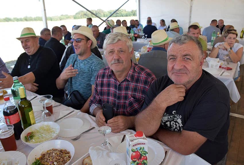 Hibridi koji daju rekordne prinose /FOTO/