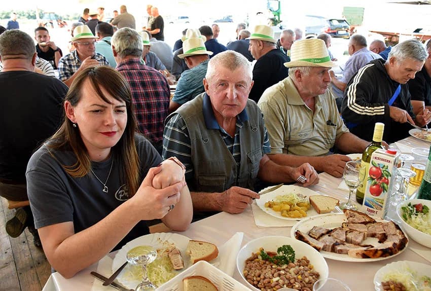 Hibridi koji daju rekordne prinose /FOTO/