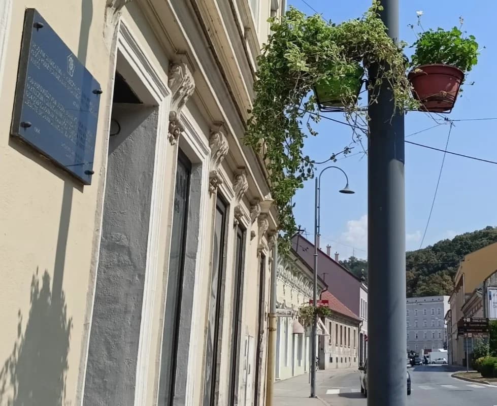 Festivalsko ruho Požege
