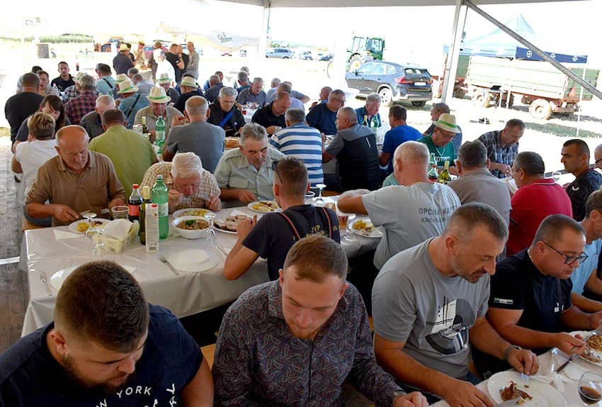 Hibridi koji daju rekordne prinose /FOTO/
