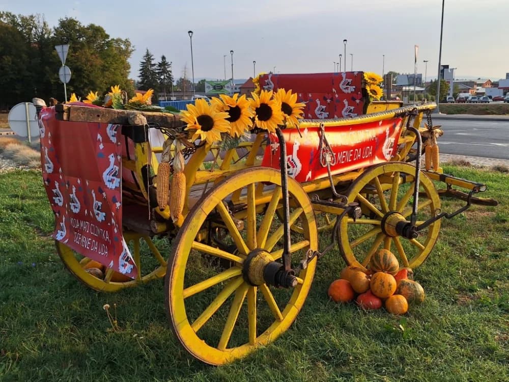 Festivalsko ruho našeg grada