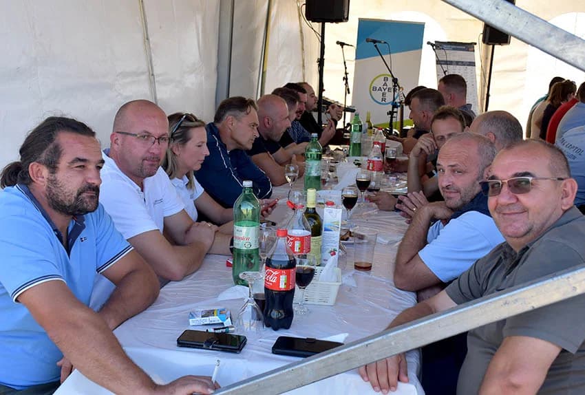 Hibridi koji daju rekordne prinose /FOTO/