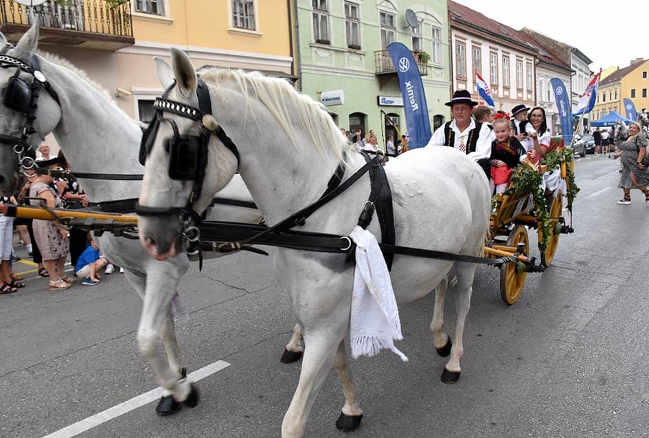 Festivalska povorka uljepšala ulice grada Požege i osvojila srca brojne publike