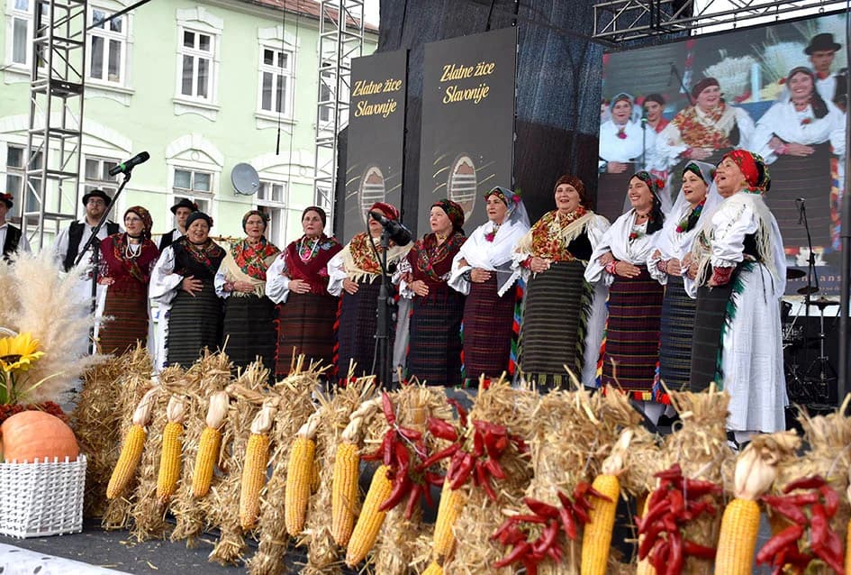 Festivalska povorka uljepšala ulice grada Požege i osvojila srca brojne publike