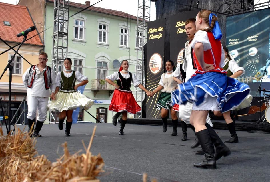 Festivalska povorka uljepšala ulice grada Požege i osvojila srca brojne publike