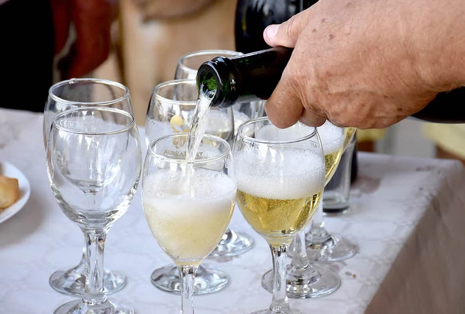 FESTIVALSKO  DRUŽENJE SA VINSKIM KARDINALOM: Nastavljena dugogodišnja tradiciJa