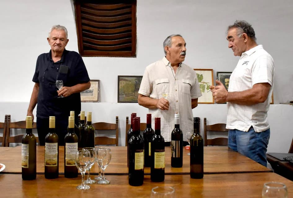 FESTIVALSKO KUŠANJE VINA POŽEŠKIH VINARA: Konzumirane graševine iz požeških vinograda