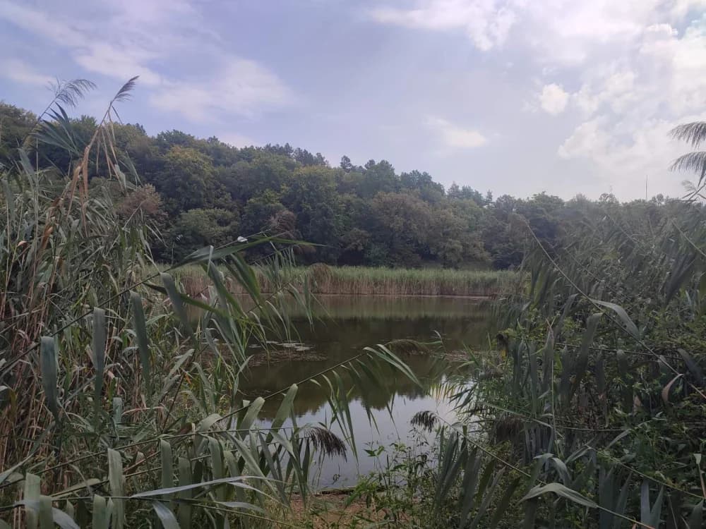 POHOD OKO DILJA: Planinari Sokolovca obišli Sovsko jezero i 6. Iššijadu u Ruševu