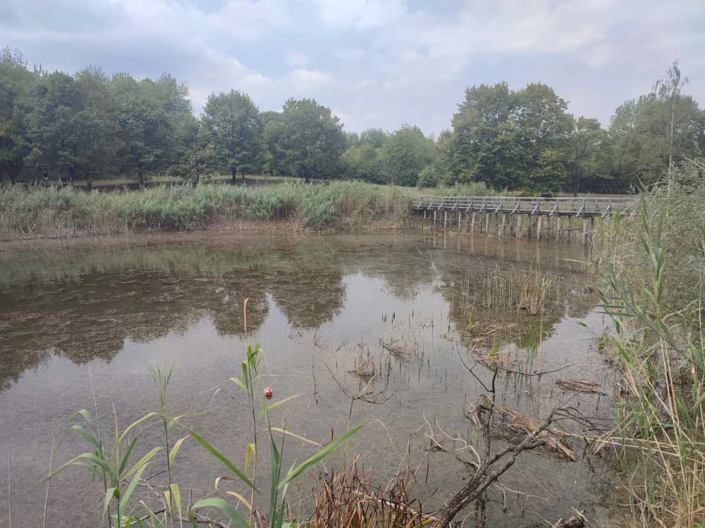 POHOD OKO DILJA: Planinari Sokolovca obišli Sovsko jezero i 6. Iššijadu u Ruševu