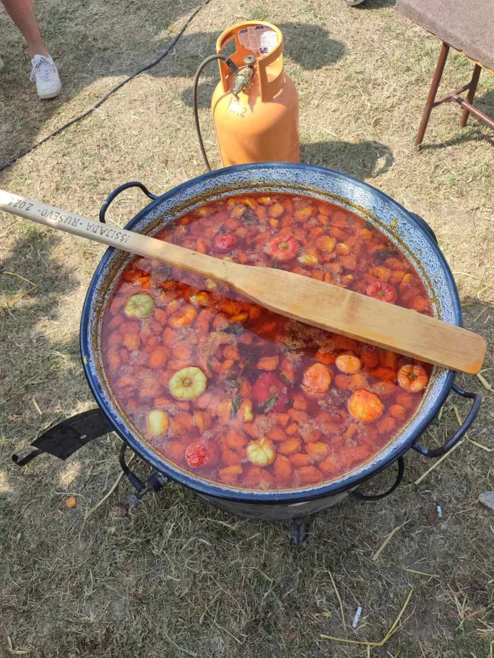 POHOD OKO DILJA: Planinari Sokolovca obišli Sovsko jezero i 6. Iššijadu u Ruševu