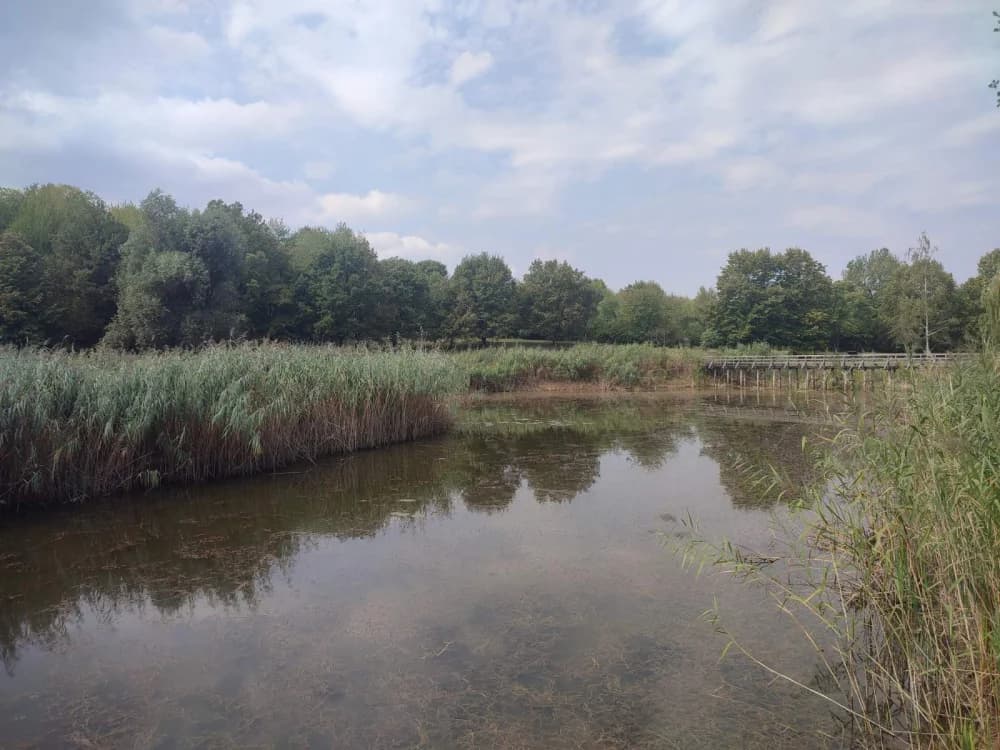 POHOD OKO DILJA: Planinari Sokolovca obišli Sovsko jezero i 6. Iššijadu u Ruševu