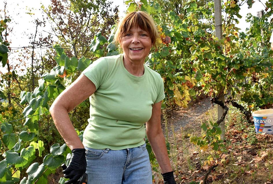 Graševina obećava vrhunsko vino