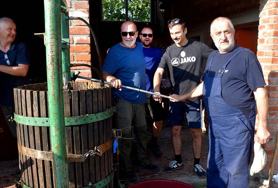 Unatoč ekstremnoj suši dobar urod graševine u vinogradu obitelji Vuković iz Požege